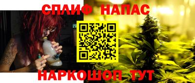гашик Славянск-на-Кубани