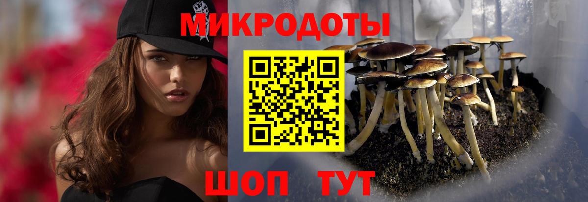 Новый Уренгой  Псилоцибиновые грибы ЛСД  Псилоцибиновые грибы Cubensis  Вход с VPN 