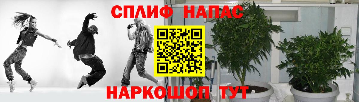 Конопля семена  Канабис сатива  МАРИХУАНА сатива  Вход с VPN  Новый Уренгой 
